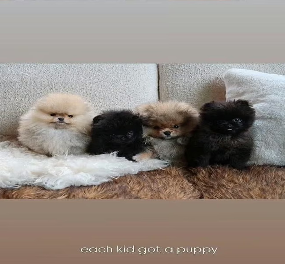 Kim Kardashian Slammed As 'Gross' And 'Irresponsible' For this Singular Act